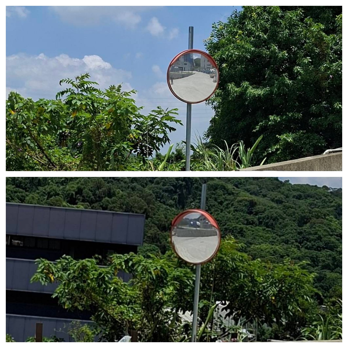 *新北市新莊區-公司行號照片